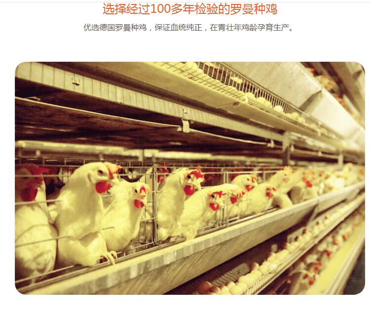 QQ截图20180427154506