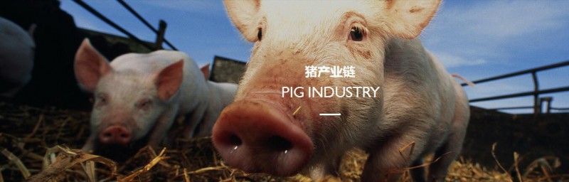 QQ截图20180427154137