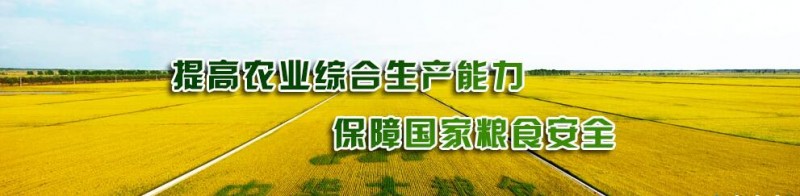 QQ截图20180506074414
