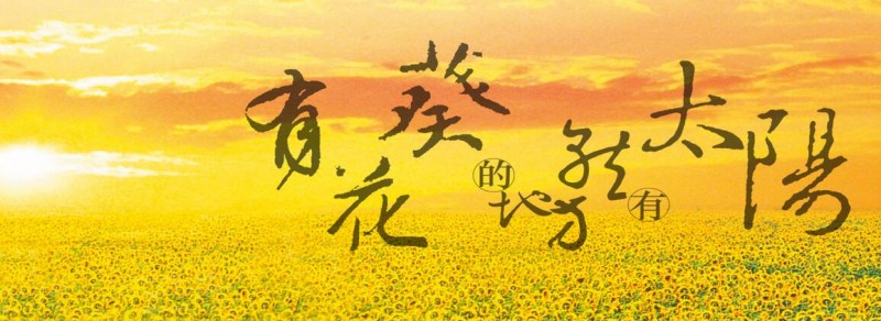 QQ截图20180506183933